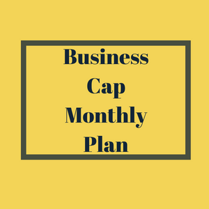Business Capped Monthly Plan