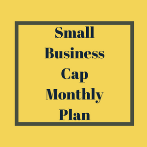 Small Business Monthly Plan